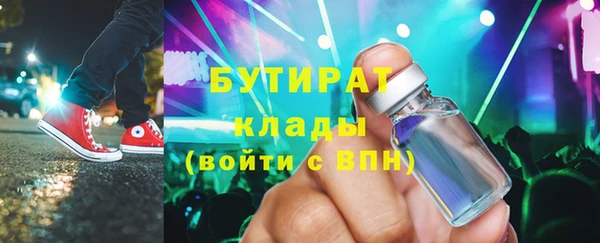амф Снежногорск