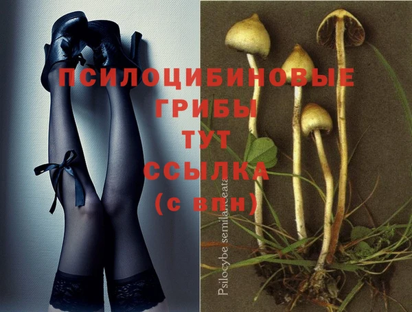 таблы Армянск