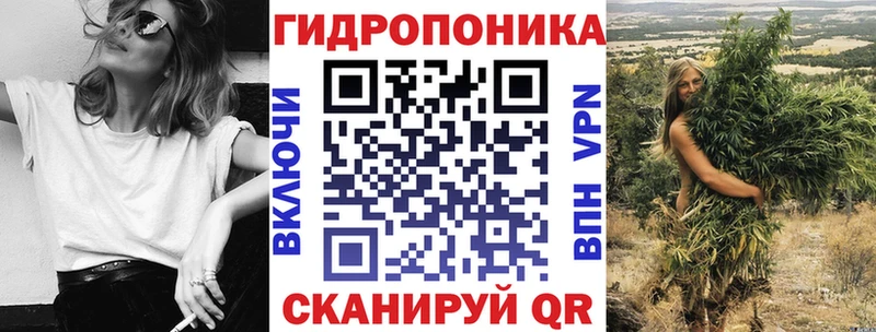 Конопля Bruce Banner  Куртамыш 